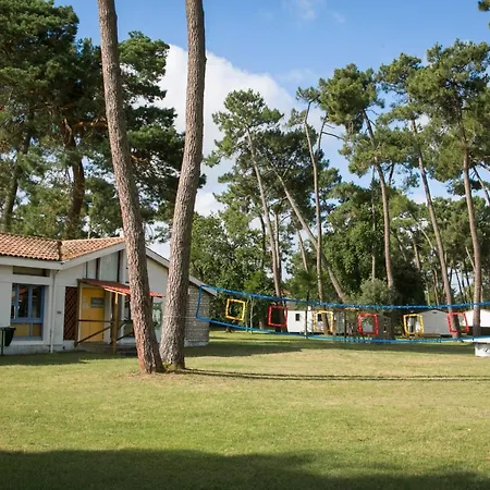 Sous Les Pins