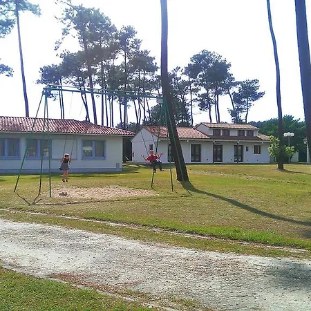 Sous Les Pins